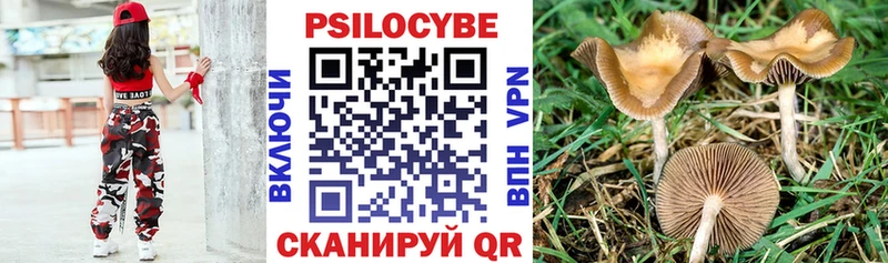 Псилоцибиновые грибы Psilocybine cubensis  Боровичи 